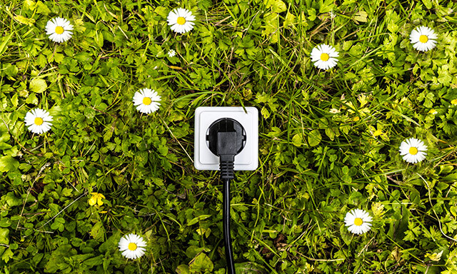 Wiese mit Steckdose und Stecker